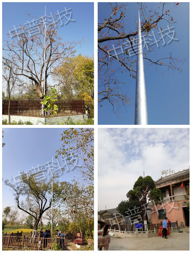 古樹防雷工程施工